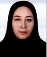 خزانه دار سازمان